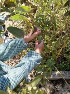 Visita à Quinta do Peral